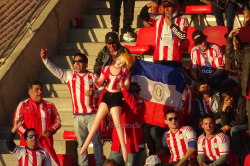 Paraguay-Fans gegen Argentinien bei der Copa America 2015 in La Serena