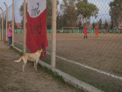 Zuschauer beim Spiel Santa Brigida - La Catedral im Estadio Román Pascual, Presidente Derqui, Juni 2017