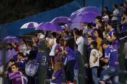 Defensor-Fans beim Clásico gegen Danubio im Mai 2015